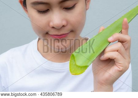 Asian Woman Cut Aloe Vera Leaf For Use Gel As A Quick Moisturiser For Her Skin. Aloe Vera Are Used T