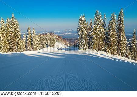 Amazing Snow Covered Pine Forest And Majestic Empty Winter Ski Resort In Poiana Brasov, Carpathians,