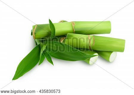 Green Bamboo With Leaves Isolated On White Background With Clipping Path And Full Depth Of Field