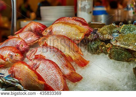 Red Fish, A Snapper Lies On Ice To Keep Fresh And Salable