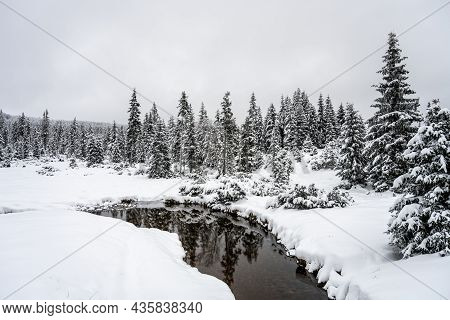 Winter In Jizera Mountains. Snowy Landscape With Trees And Small Creek. Czech Republic