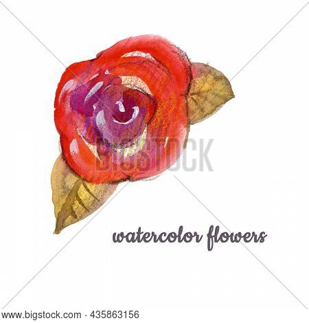 Watercolor Flower Hand-painted Violet, Red And Orange Bud Rose On A White Background. Isolated Wildr