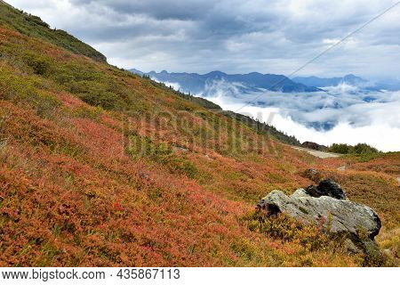 Autumnal Landscape In Alps Mountain With Red Bush And View On Clouds In Valley- Col Du Petit Saint B