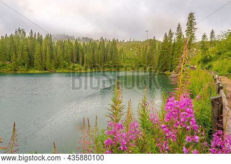Nature In Carezza Lkae In South Tyrol Dolomites - Italy