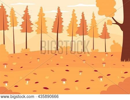 Autumn Woods Flat Color Vector Illustration. Seasonal Landscape With Growing Mushrooms. Panoramic Au