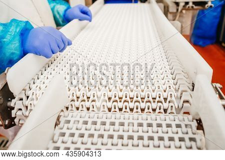 Meat Processing Plant.people Working At A Chicken Factory - Stock Photo.automated Production Line In