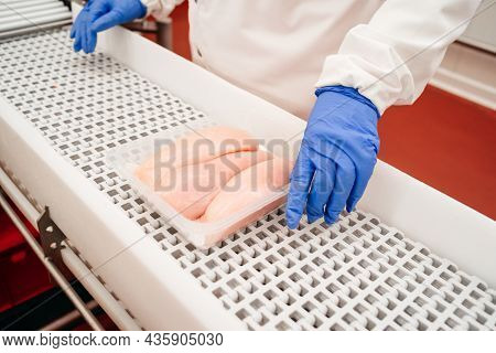 Meat Processing Plant.people Working At A Chicken Factory - Stock Photo.automated Production Line In