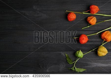 Physalis Branches With Colorful Sepals On Black Wooden Table, Flat Lay. Space For Text
