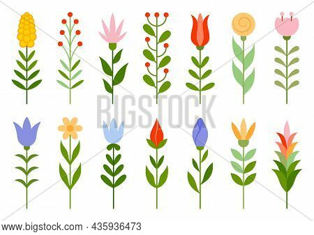 Flower And Leaf Color Flat Set. Deciduous Branch With Berry. Wild Plant Summer Object. Free Nature E