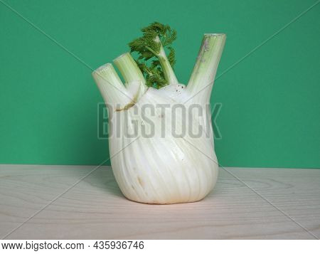 Fennel Vegetables Food