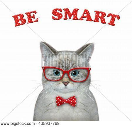 An Ash Cat Wears Red Glasses And A Bow Tie. Be Smart. White Background. Isolated.