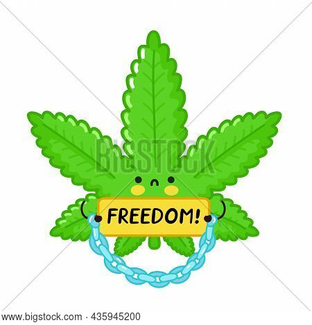 Cute Funny Weed Leaf Character Hold Sign Freedom. Vector Flat Cartoon Kawaii Character Illustration 