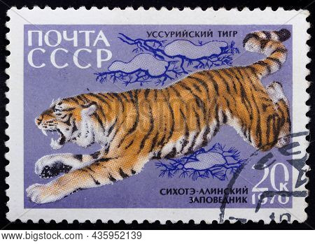 Ussr - Circa 1970: Postage Stamp 'ussurian Tiger' Printed In Ussr. Series: '35th Anniversary Of The 