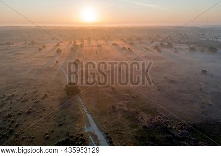 Aerial from sunrise in the forest from Friesland in the Netherlands