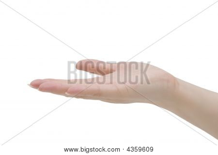 Giving Hand