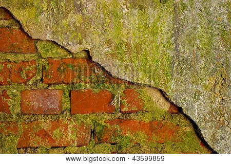 Muur