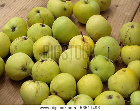 Apples - Malus Domestica White Transparent