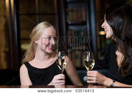 Two Beautiful Women Toasting Each Other