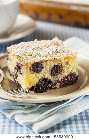 Homemade Blueberrry Coffee Cake