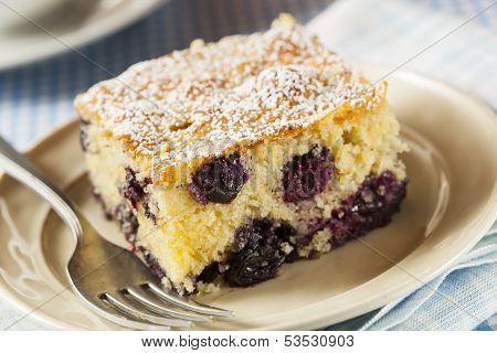 Homemade Blueberrry Coffee Cake