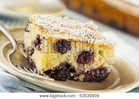 Homemade Blueberrry Coffee Cake