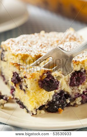 Homemade Blueberrry Coffee Cake