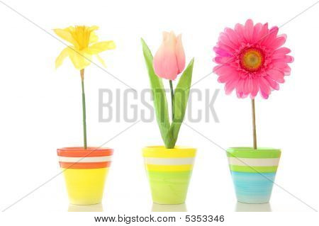 Blomster i puljen