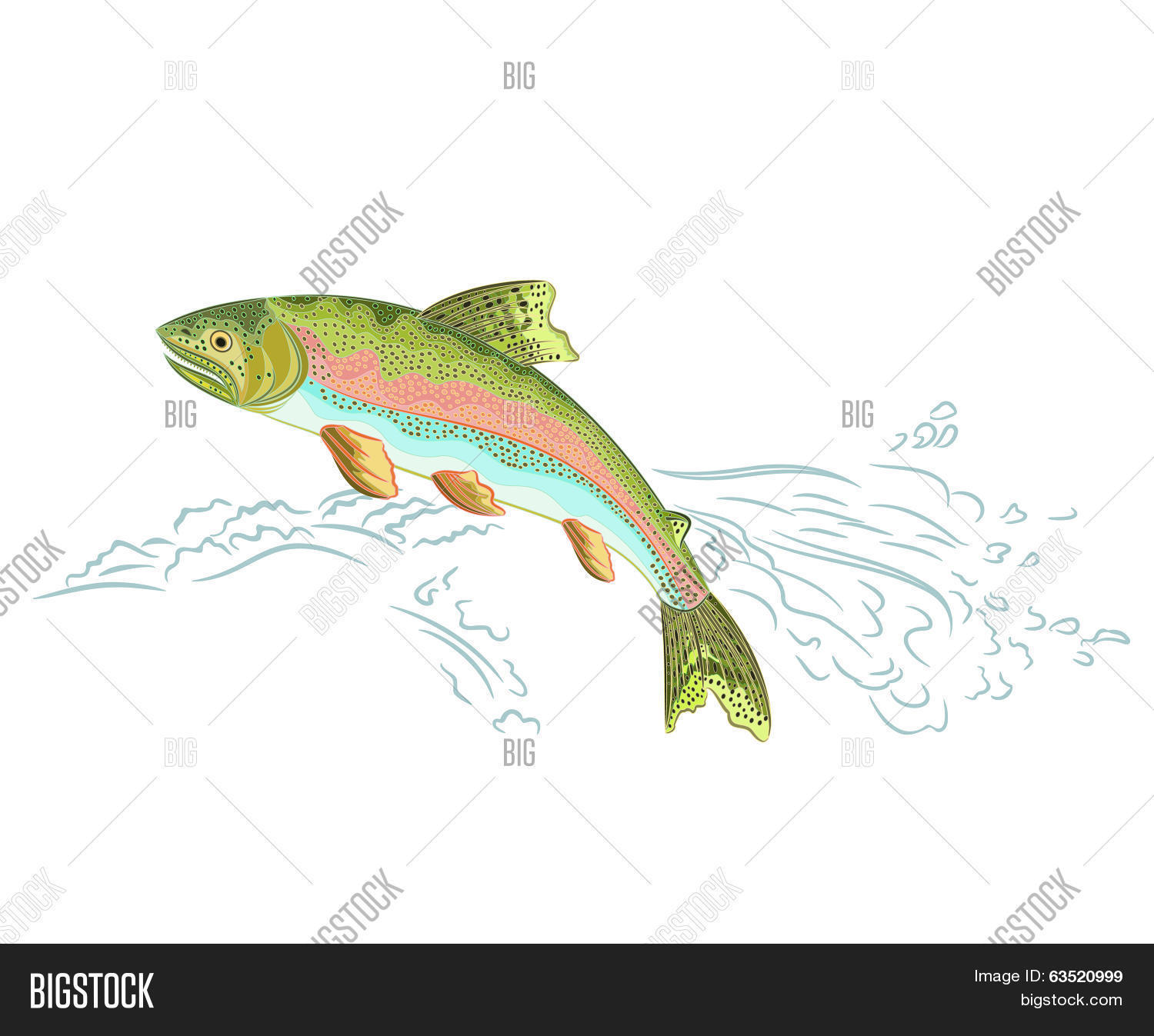American Trout Jumps Vector & Photo (Free Trial) Bigstock
