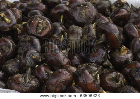 Chinese water chestnuts
