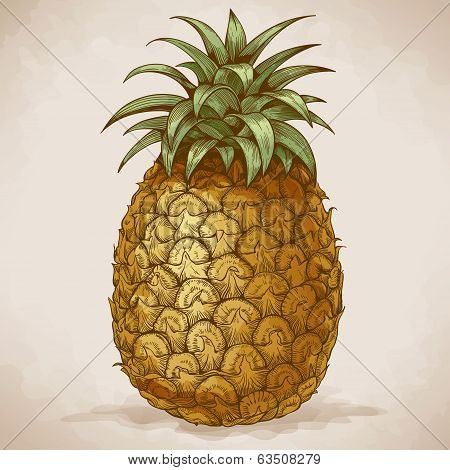 Engraving Pineapple In Retro Style