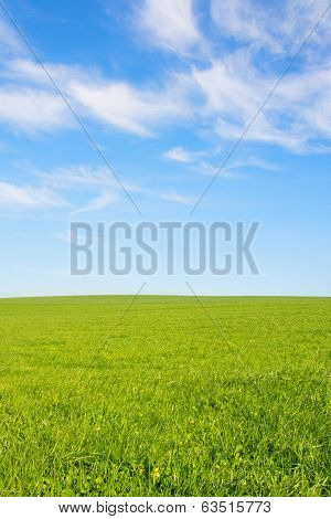 Swiss Agriculture - Field Of Green Grass With Beautiful Cloud -