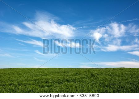 Swiss Agriculture - Field Of Green Grass With Beautiful Cloud -