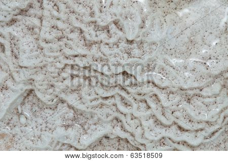 Travertine Pattern