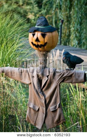 Scarecrow with Pumpkinface
