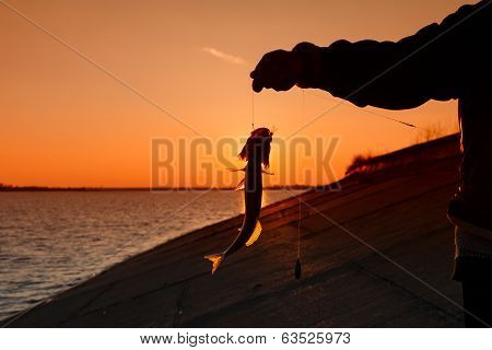 Silhouette Of Fisherman Fishes On River Bank Against A Sunset