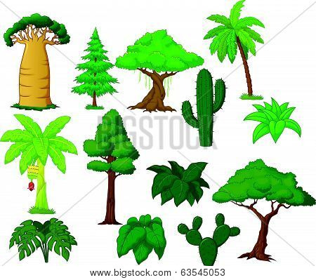 Various tree cartoon collection