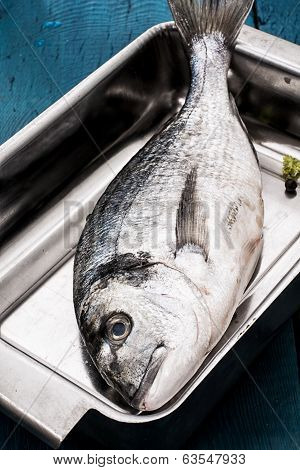 fish delicacy Dorado