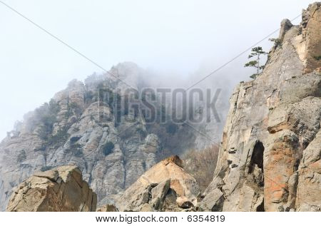 Rocky Mountain
