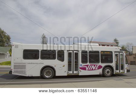 Vine bus in Yountville, Napa Valley