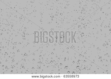 Grey Ghosts