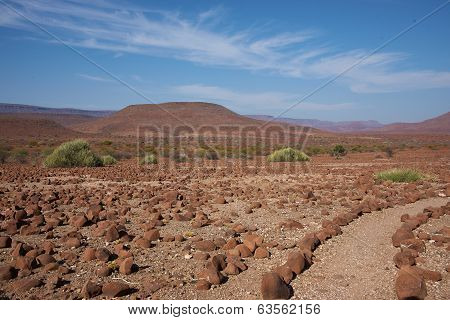Foot path through the wilderness