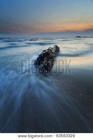Timber On The Beach