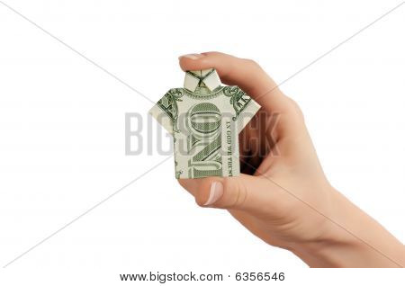 Mano con Dollaro