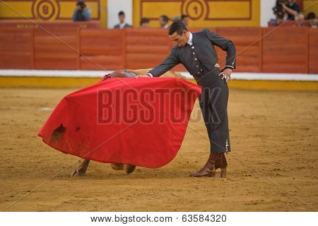 Bullfighter