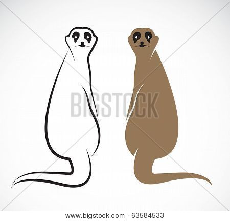 Vector Image Of An Meerkat
