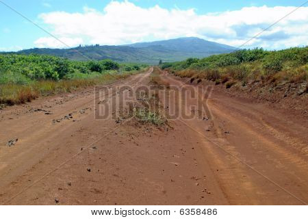 Road to Nowhere