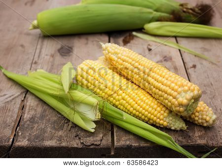 Fresh Corn On Wooden Background