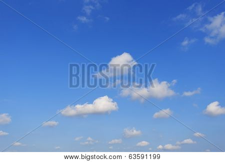 The Blue Sky