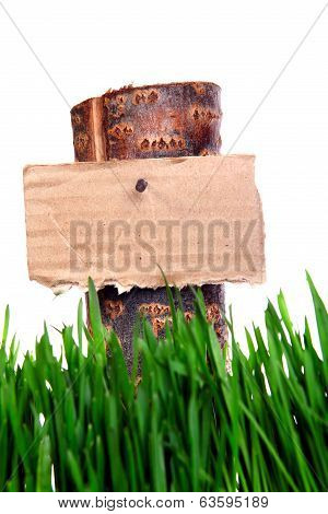 Guide Sign On The Grass