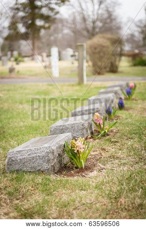 Headstones With Flowers